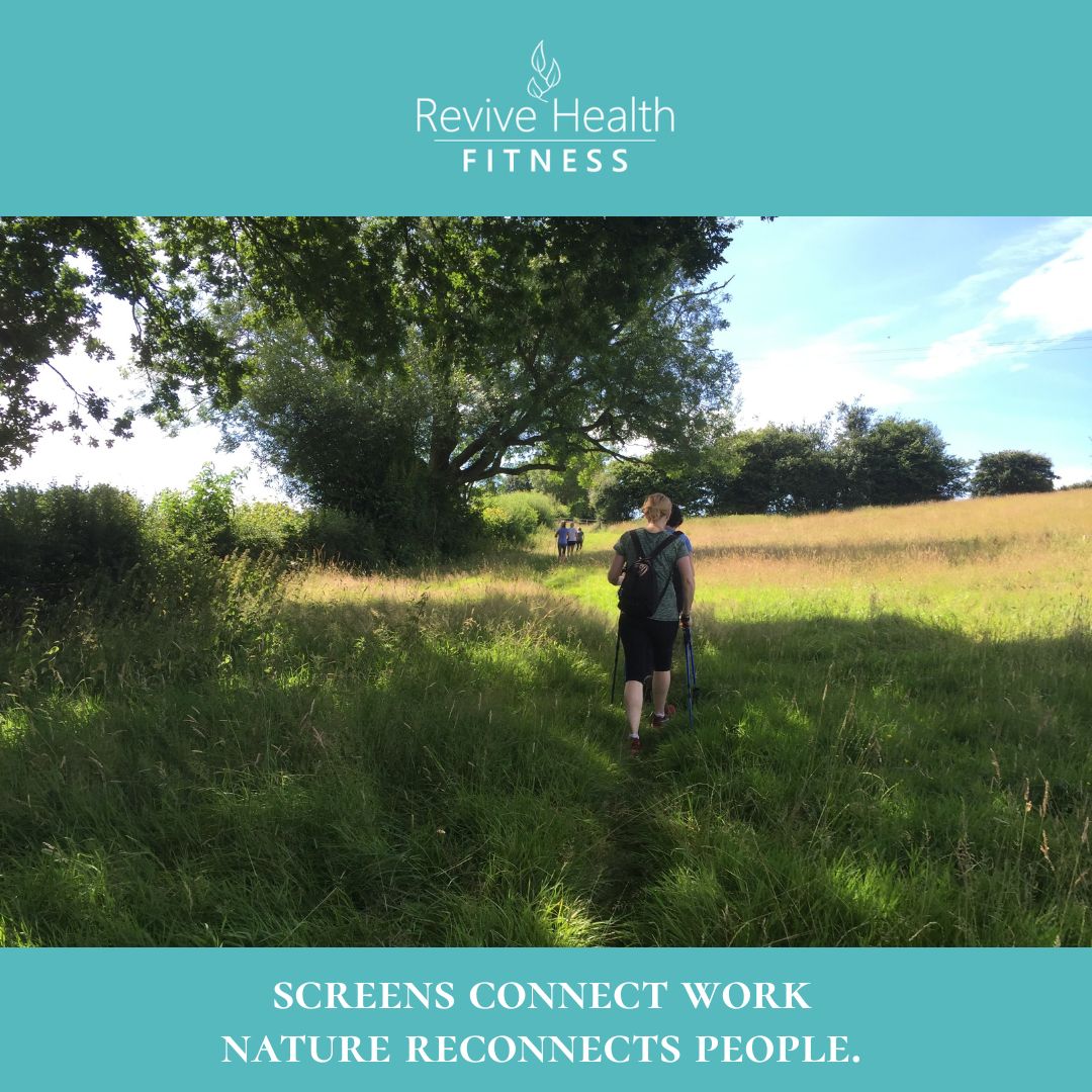 Recharging Hybrid Teams: How Energy Drives Performance in a Digital World